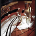 Joyce Edwards Photo 37