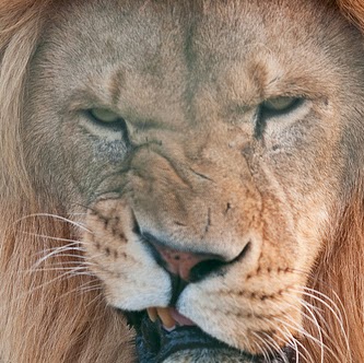 Richard Michaels Photo 28