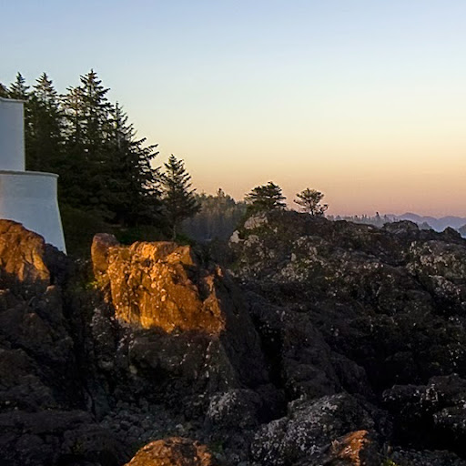 Judith Quinn Photo 32