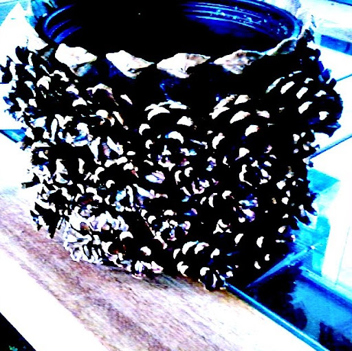 Heidi Mitchell Photo 15