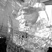 Robert Sparks Photo 24
