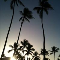 Nancy Hixson Photo 13