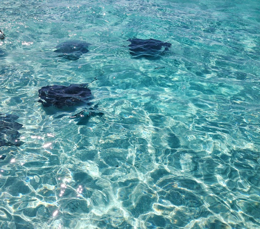 Christy Austin Photo 17