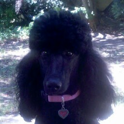 Judy Lowe Photo 26