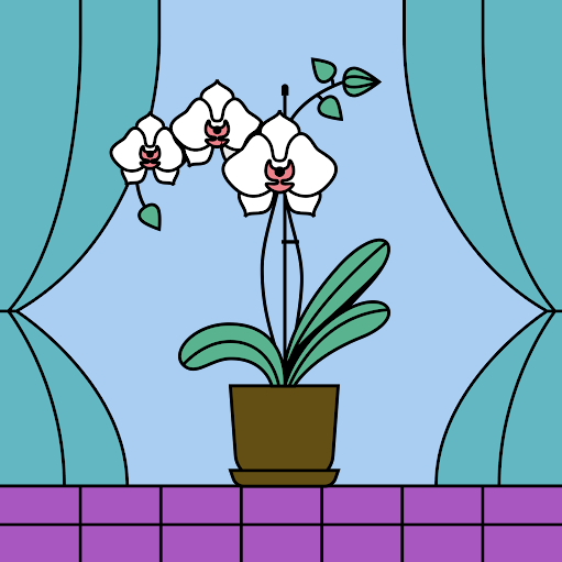 Laura Figueroa Photo 36