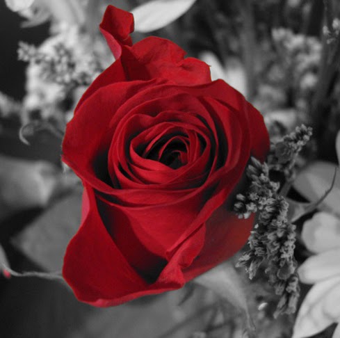 Rita Guzman Photo 25