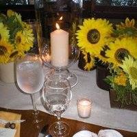 Carolyn Edwards Photo 24
