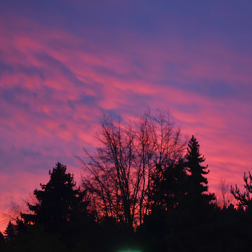 Heather Fisher Photo 41