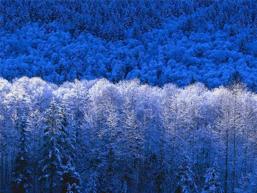 Aaron Strickland Photo 27