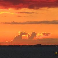 Mitchell Welch Photo 22
