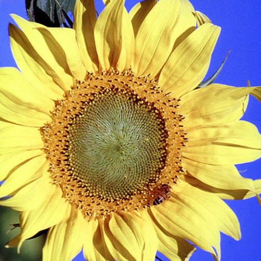 Patricia Walters Photo 16