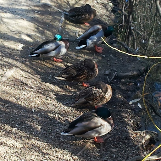 Benjamin Miles Photo 35