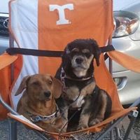 Darrell Robertson Photo 11