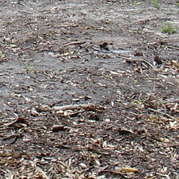 Robert Dennison Photo 28