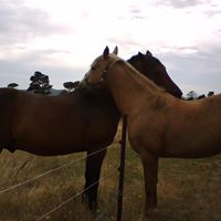 Stefanie Richards Photo 5