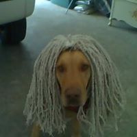 Tracy Jeter Photo 10