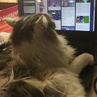 Arlene Nowak Photo 10