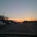 Annette Cary Photo 8