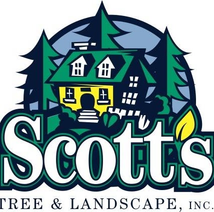 Carrie Fitzgerald Photo 4