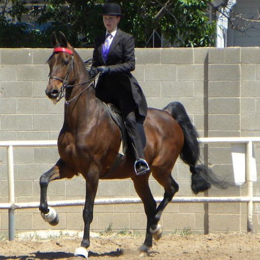 Kristin Jacobsen Photo 21