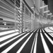 Richard Angle Photo 8