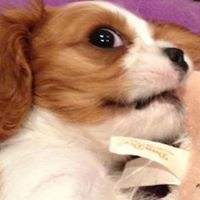 Vicki Spaulding Photo 4