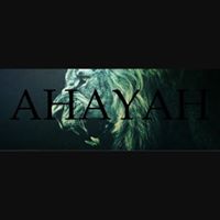 Vanessa Collins Photo 16