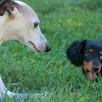 Barbara Lowe Photo 2