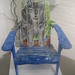 Amy Clark Photo 38