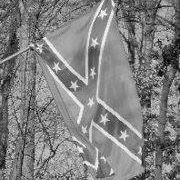 Donald Young Photo 4