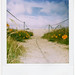 Cynthia West Photo 9