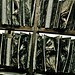 Marc Kiefer Photo 15