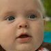John Yancey Photo 45