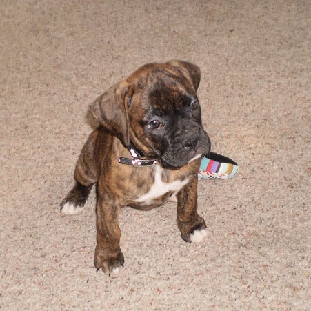 Lisa Daniel Photo 12