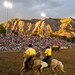 Shelley Weber Photo 34