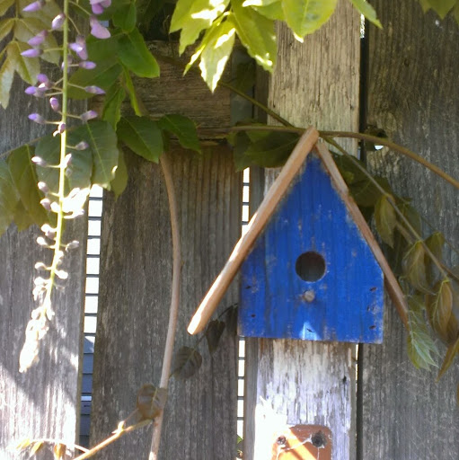 Cheryl Hanson Photo 18