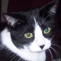 June Watkins Photo 17