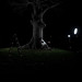 Bonnie Mills Photo 31