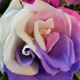 Terri Walker Photo 42 Terri Walker Photo 42