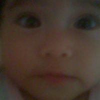 Alexander Tejada Photo 13