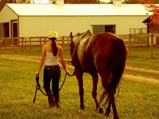 Cynthia Mcfarland Photo 9