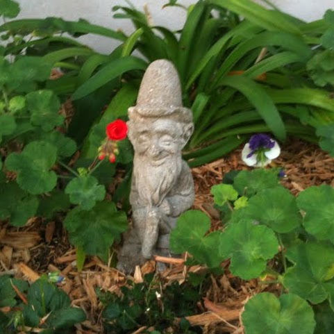 Anita Hunter Photo 22