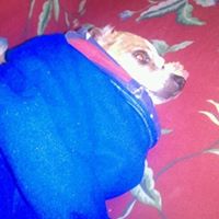 Darrell Gilmore Photo 10