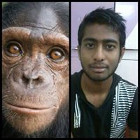 Phillip Brooks Photo 43 Phillip Brooks Photo 43