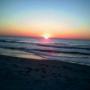 Dianne Harmon Photo 17