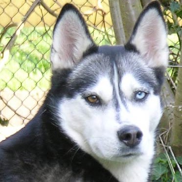 Radames Rodriguez Photo 27