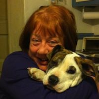 Joann Stewart Photo 30