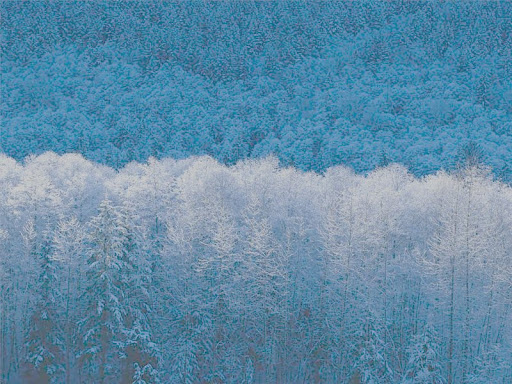 Joshua Knowles Photo 11