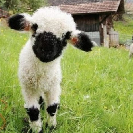 Larry Garrett Photo 10