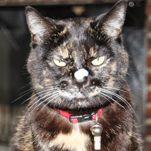 Christine Barth Photo 27